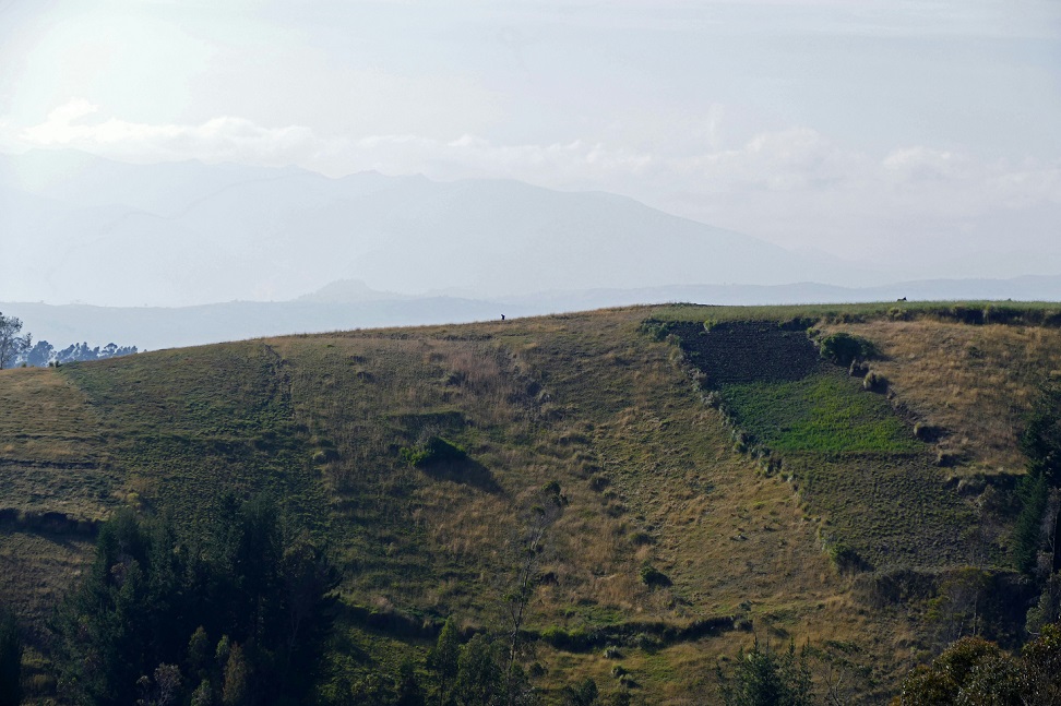 Sandakphu Trek